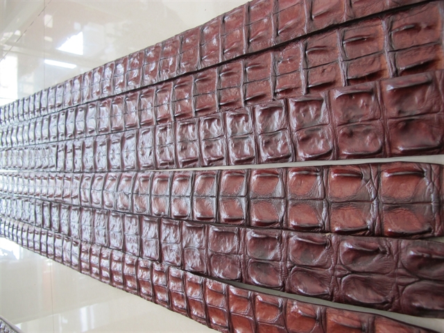 THẮT LƯNG 2 GAI ĐỀU DA LƯNG CÁ SẤU-0037